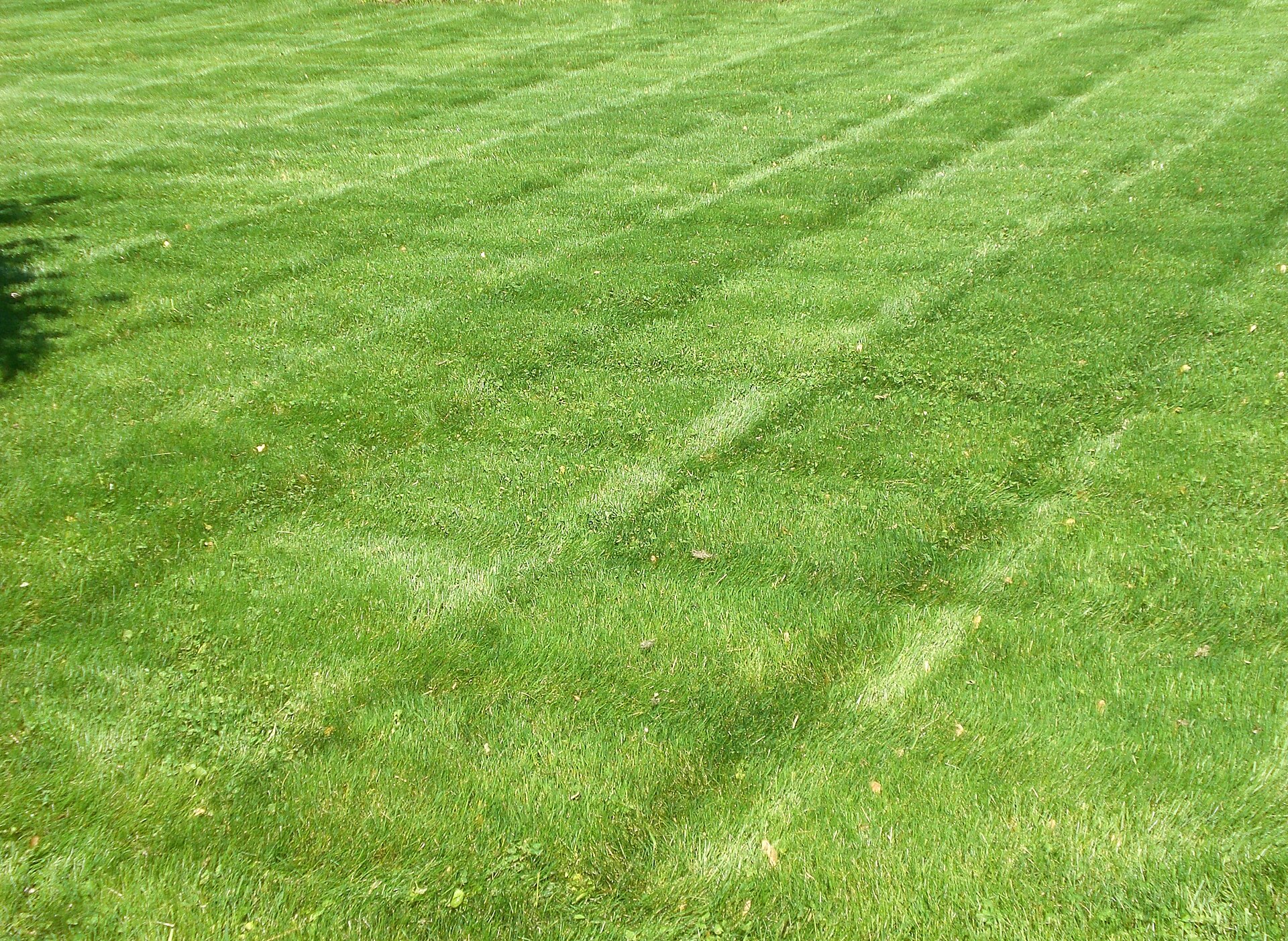 Mowing